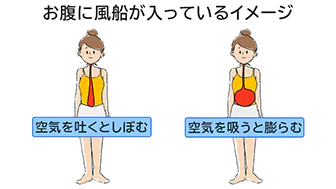 腹式呼吸で、息を吐くとお腹がしぼみ、息を吸うとお腹が膨らむ様子を風船にたとえたイラスト