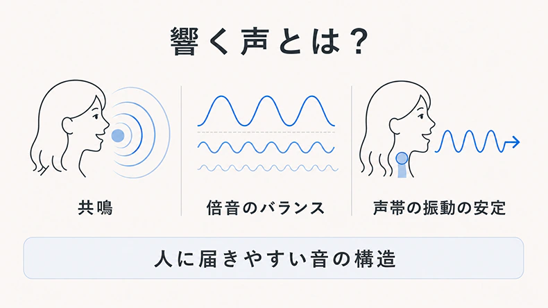 響く声とは?人に届きやすい音の構造を、共鳴・倍音のバランス・声帯の振動の安定で説明した図解